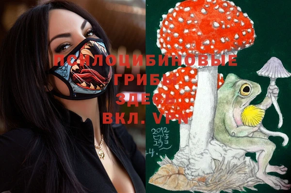 PSILOCYBIN Алексеевка