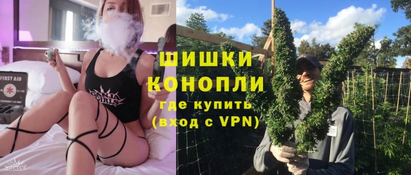 PSILOCYBIN Алексеевка